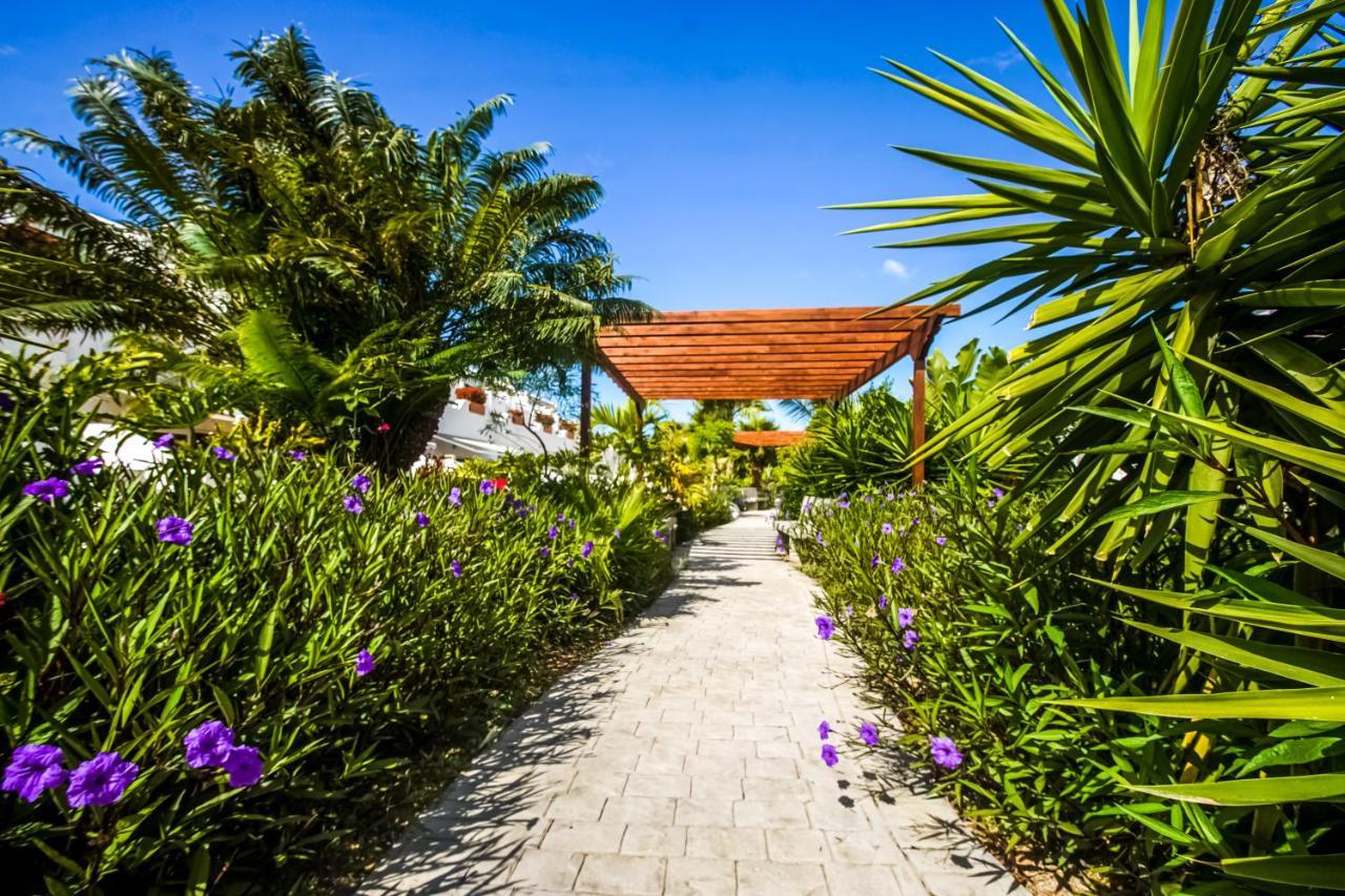 Parque Don Jose Apartment Costa Del Silencio Exterior foto